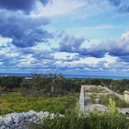 モノーポリ La Guendalina Masseria E Casa Particular Bed & Breakfast エクステリア 写真
