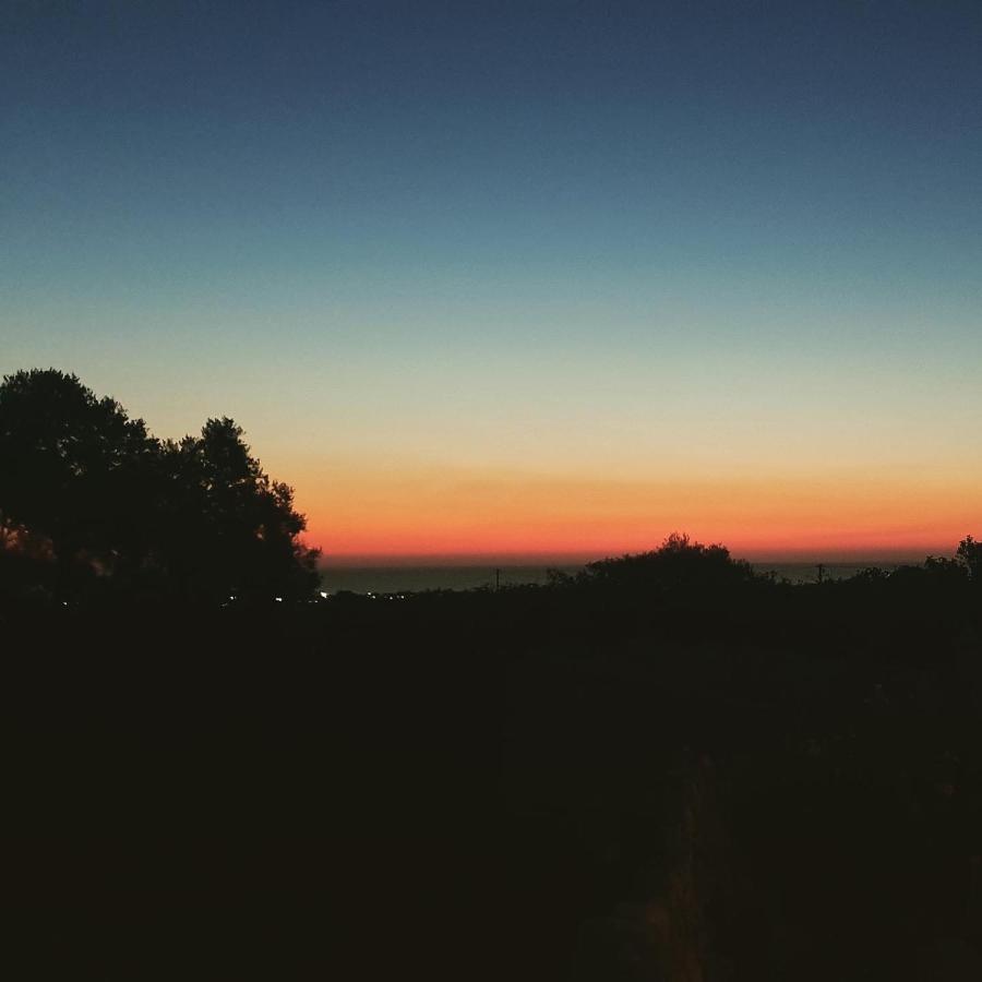 モノーポリ La Guendalina Masseria E Casa Particular Bed & Breakfast エクステリア 写真